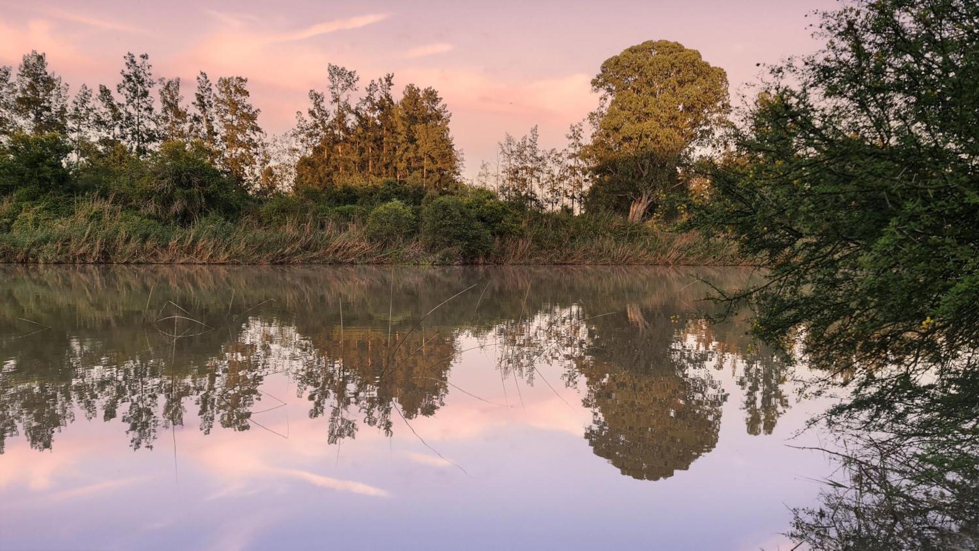 Ndlovu Addo River Lodge Kirkwood 外观 照片